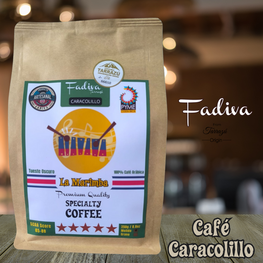 Tarrazú Coffee CARACOLILLO / Tarrazu Coffee PEA BERRY