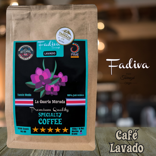 WASHED Tarrazu Coffee / Tarrazu Coffee WASHED