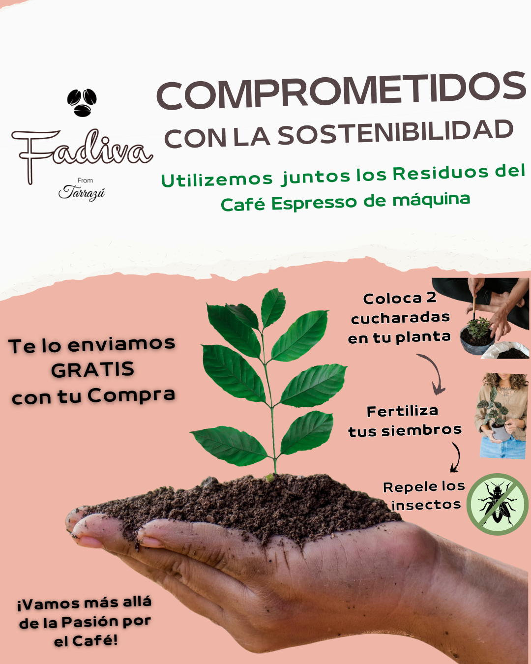 ****Opción #1 Día de la Madre 2025